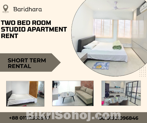 Two Bedroom Studio Apartments RENT in Baridhara.